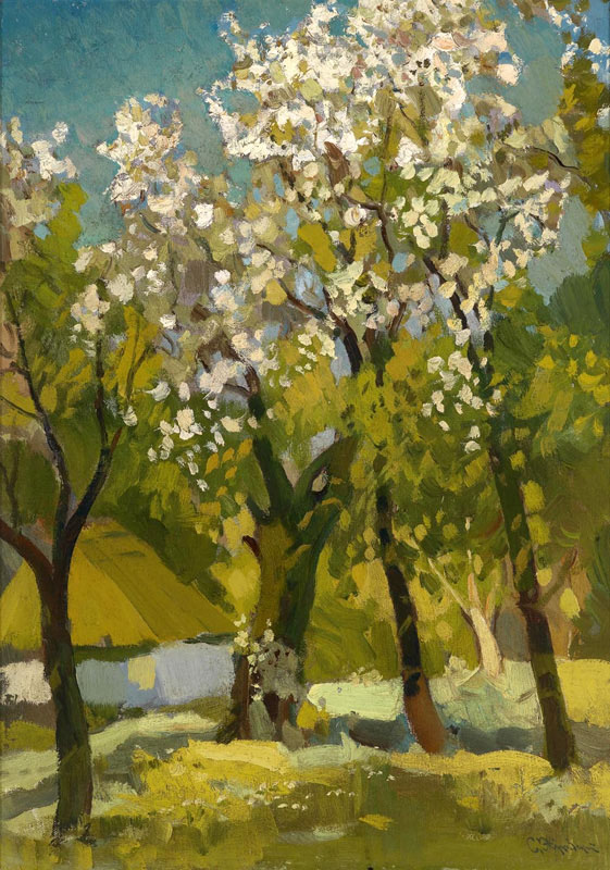 trees in blossom
